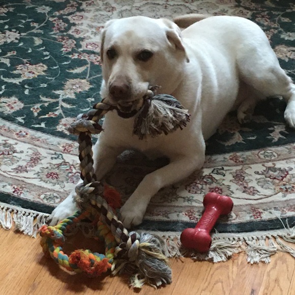 Thanks for visiting my closet! - Picture 6 of 11